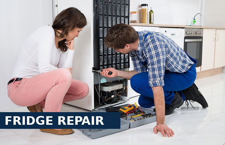 Fridge Repair Belvedere